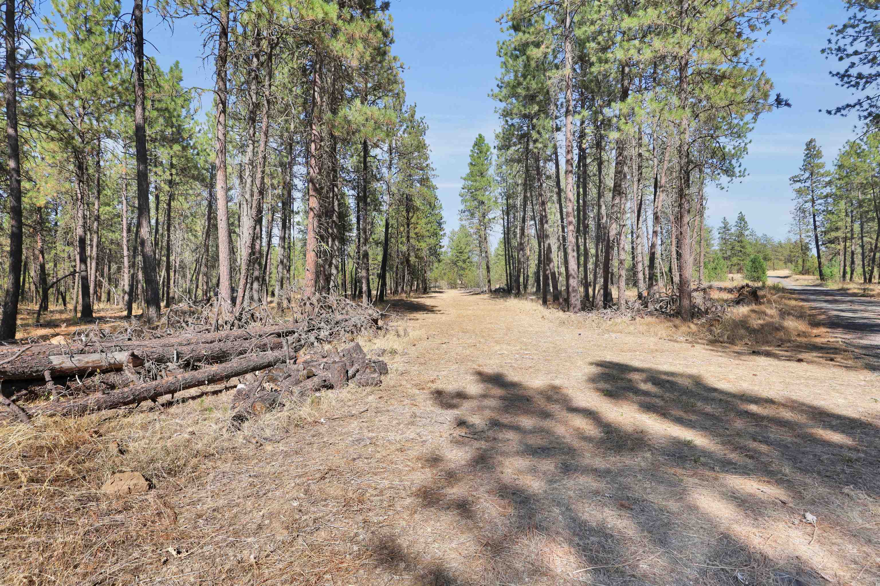 16619 South Sherman Road Cheney, WA 99004 - Photo 8 of 24