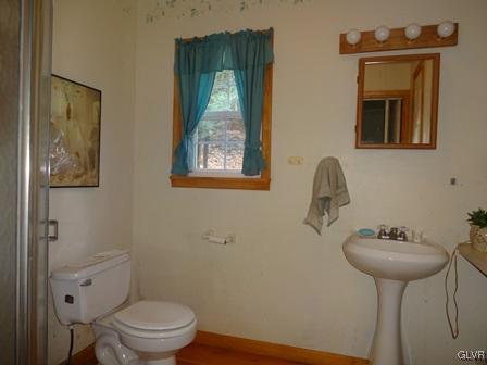 495 Lower Middle Creek Road Kunkletown, PA 18058 - Photo 13 of 22 Bathroom