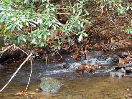 495 Lower Middle Creek Road Kunkletown, PA 18058 - Photo 19 of 22 Stream