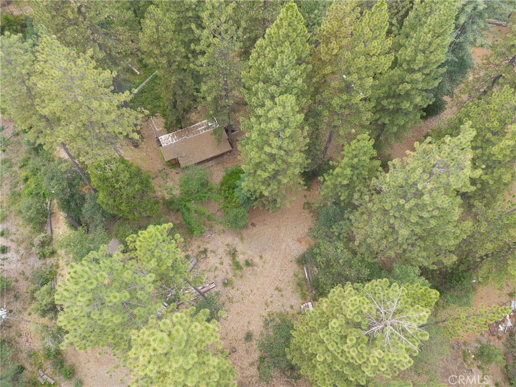 15184 Siwini Road Forest Ranch, CA 95942 - Photo 4 of 75