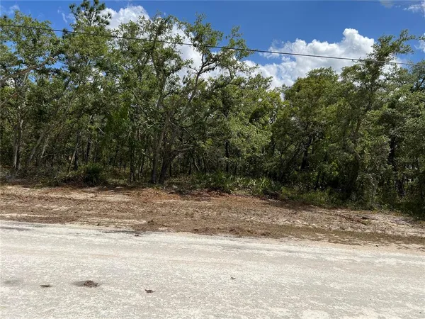 $48,000 | Sage Thrasher Avenue, Weeki Wachee, FL 34614