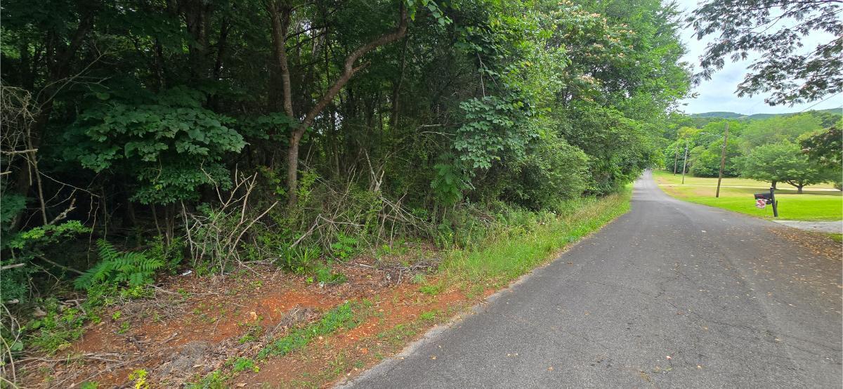 0 Ridge Road Southwest Cave Spring, GA 30124 - Photo 2 of 20 20260618_123825