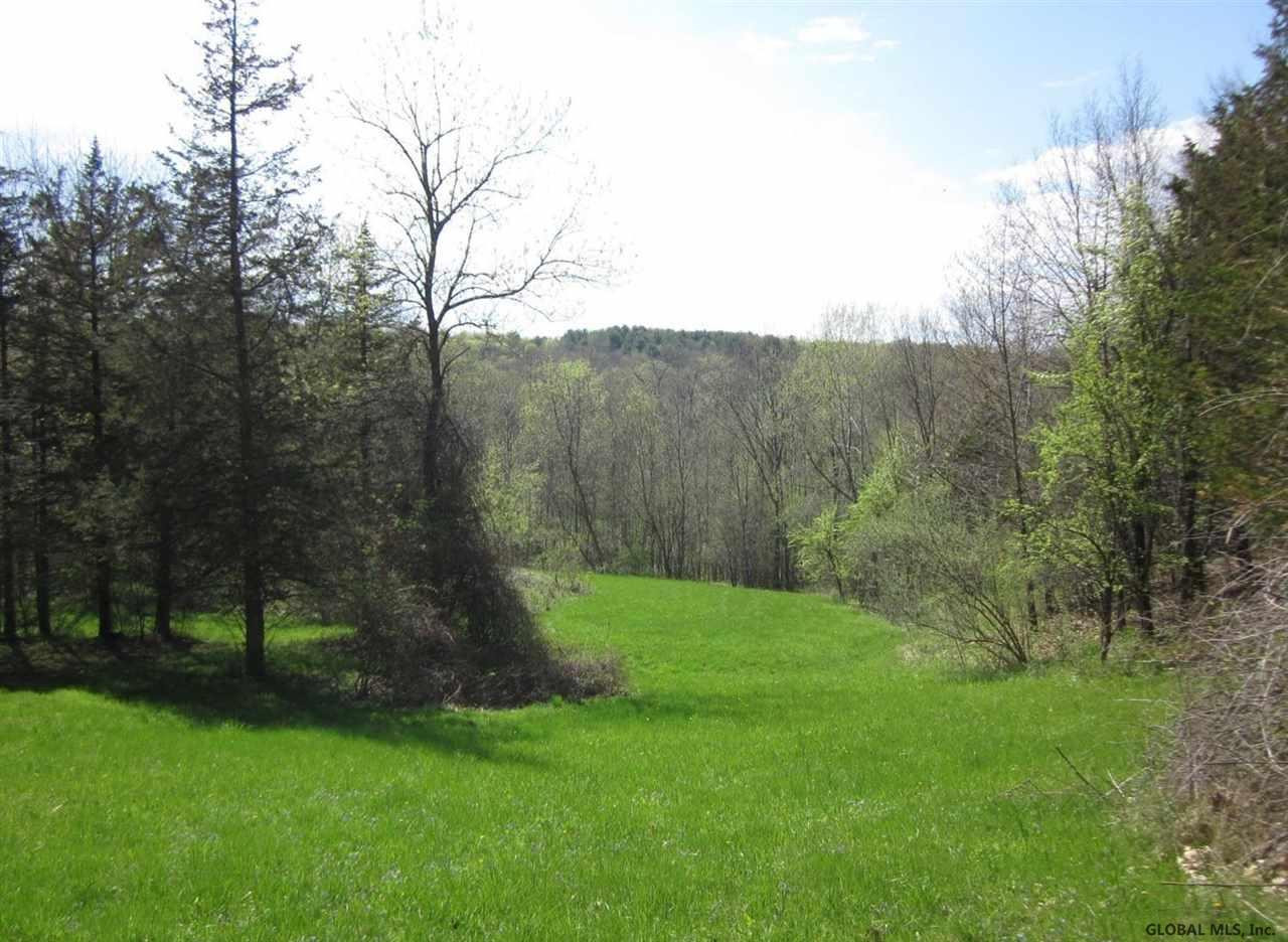 25 County Route Hudson, NY 12534 - Photo 1 of 10 Photo 1