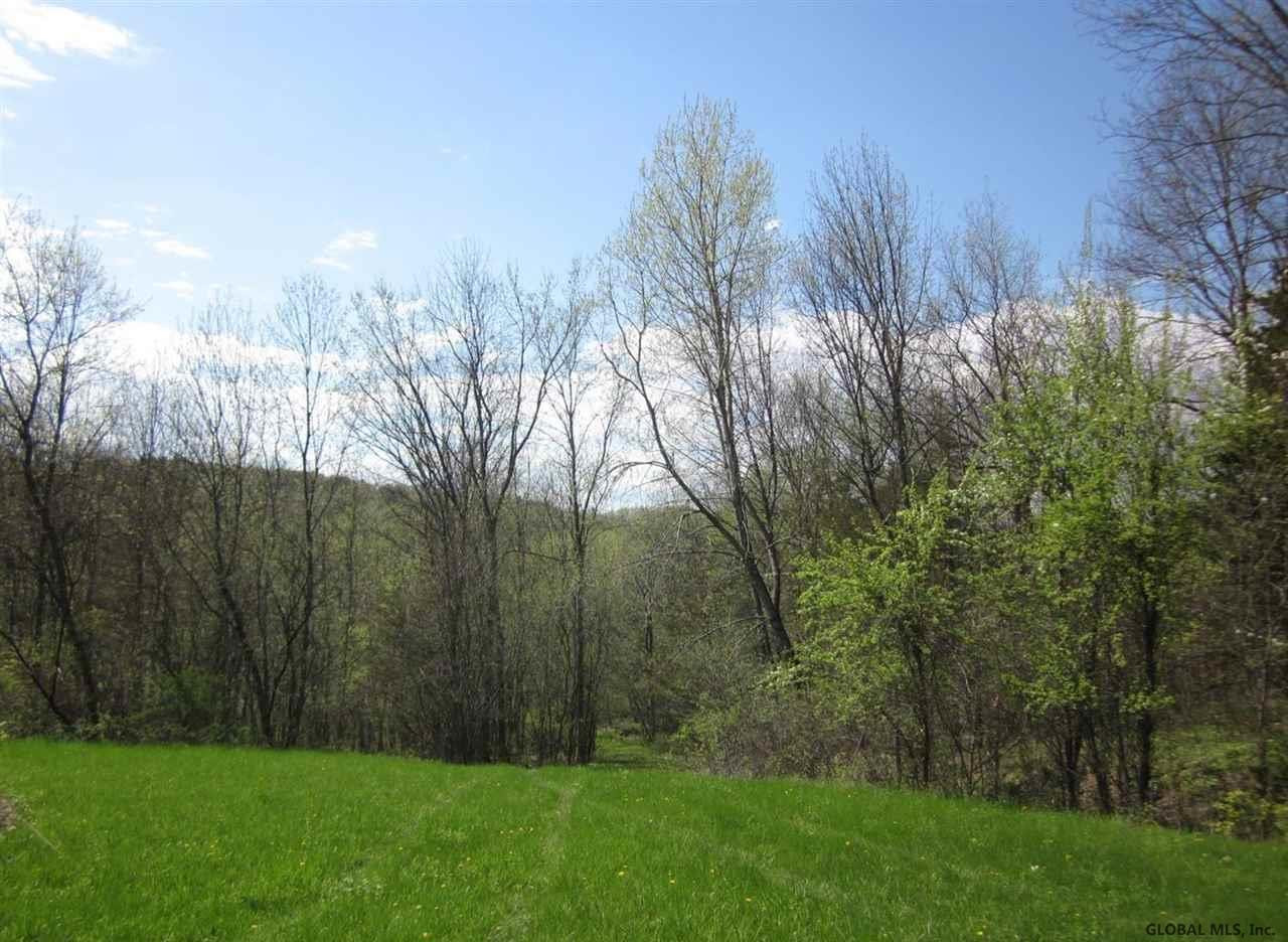 25 County Route Hudson, NY 12534 - Photo 3 of 10 Photo 3