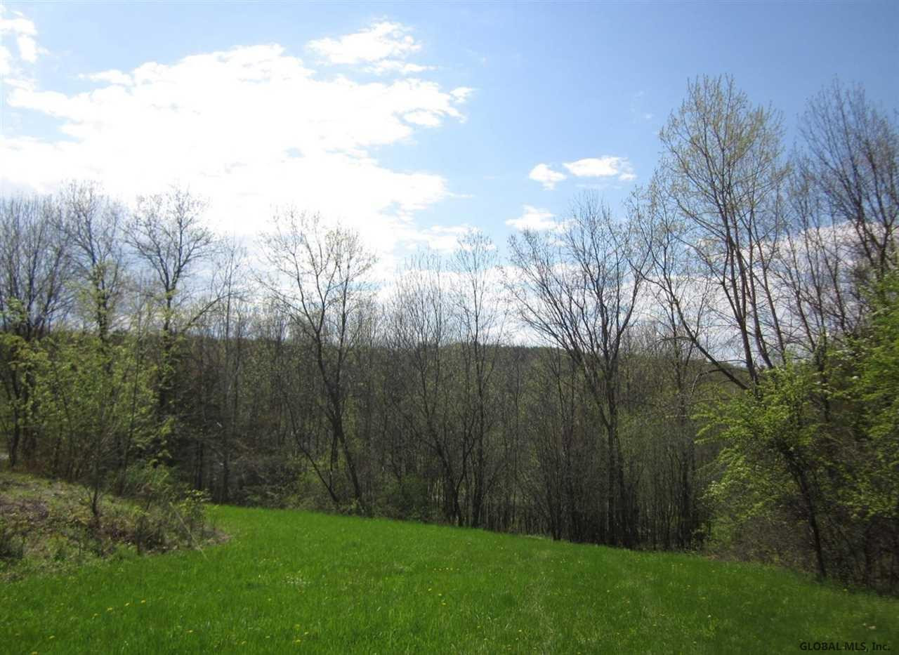 25 County Route Hudson, NY 12534 - Photo 5 of 10 Photo 5