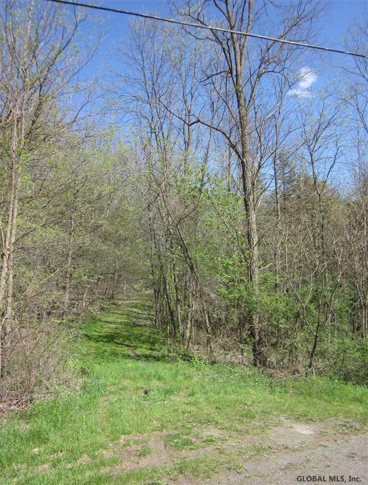 25 County Route Hudson, NY 12534 - Photo 9 of 10 Photo 9