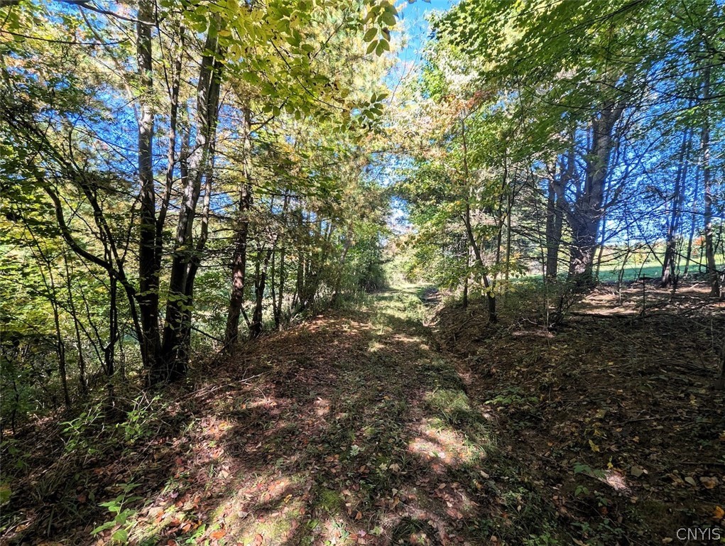 70 A County Road Hornell, NY 14843 - Photo 32 of 37 Gallery Image 32