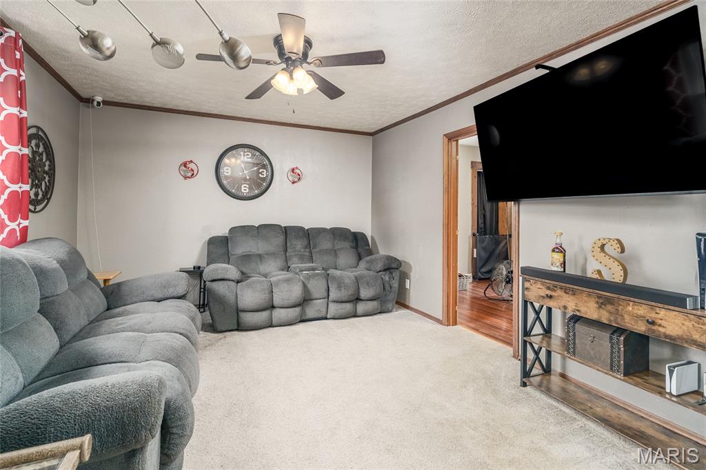 6015 State Rte 4 Mascoutah, IL 62258 - Photo 35 of 67 Gallery Image 35