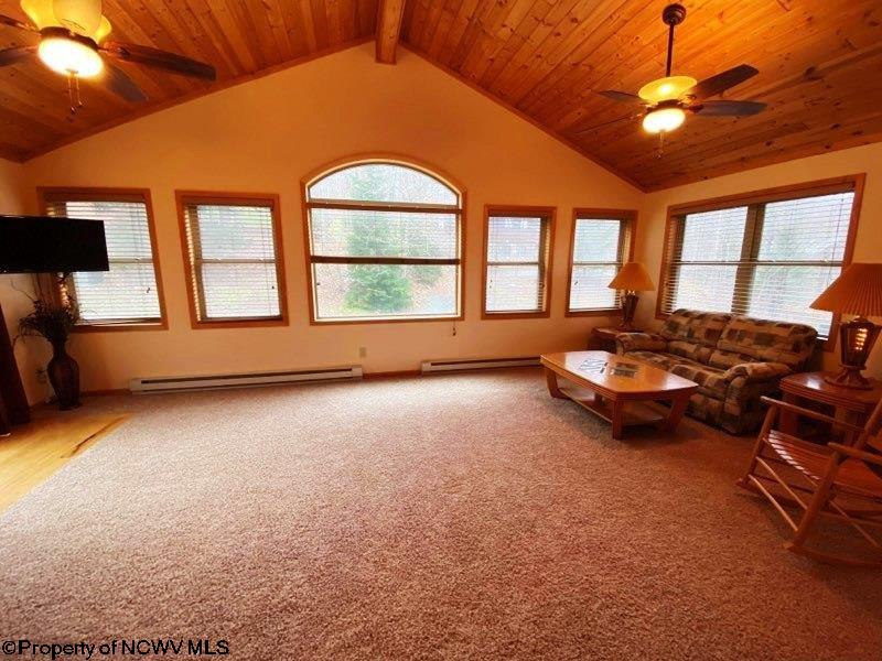 393 Brookside Road Davis, WV 26260 - Photo 9 of 28 Gallery Image 9