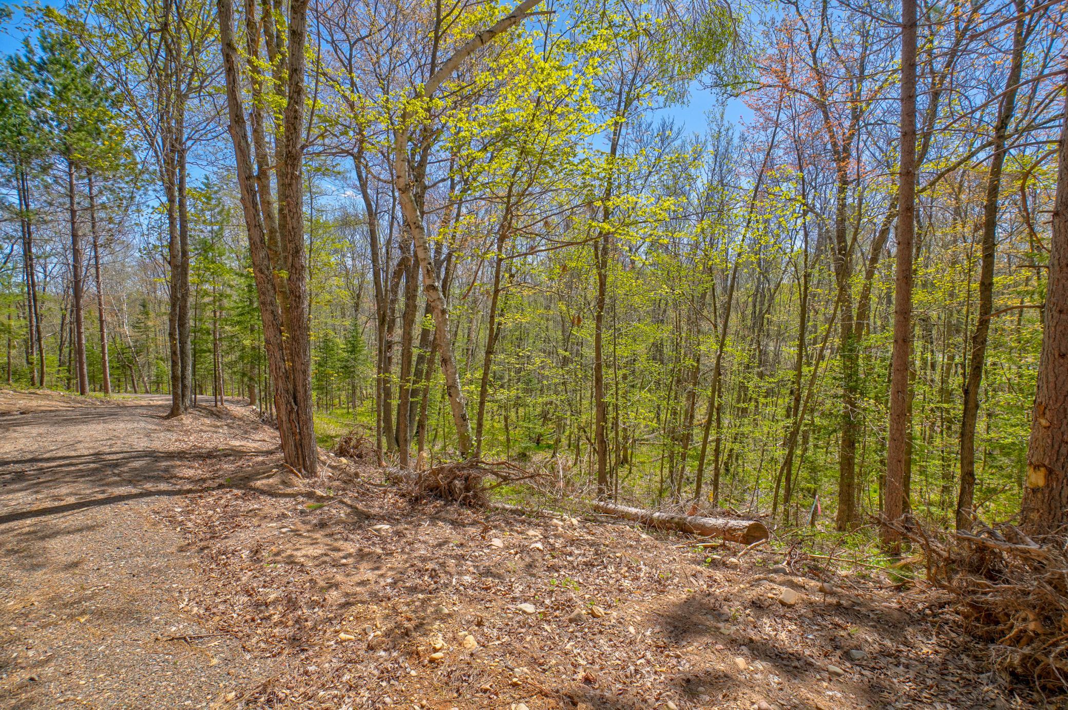 0 Ranch Road Stone Lake, WI 54876 - Photo 7 of 19