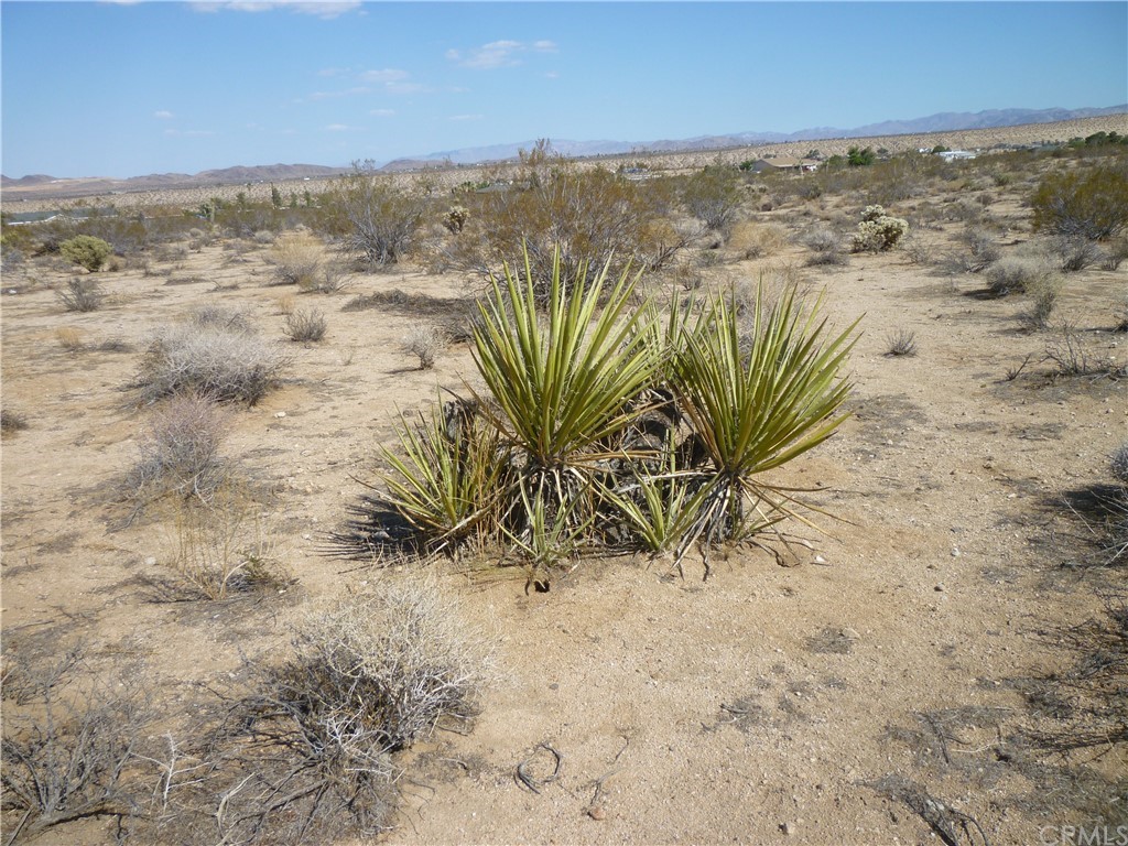233 Ripon Avenue Yucca Valley, CA 92284 - Photo 1 of 1 a view of a beach with an ocean view