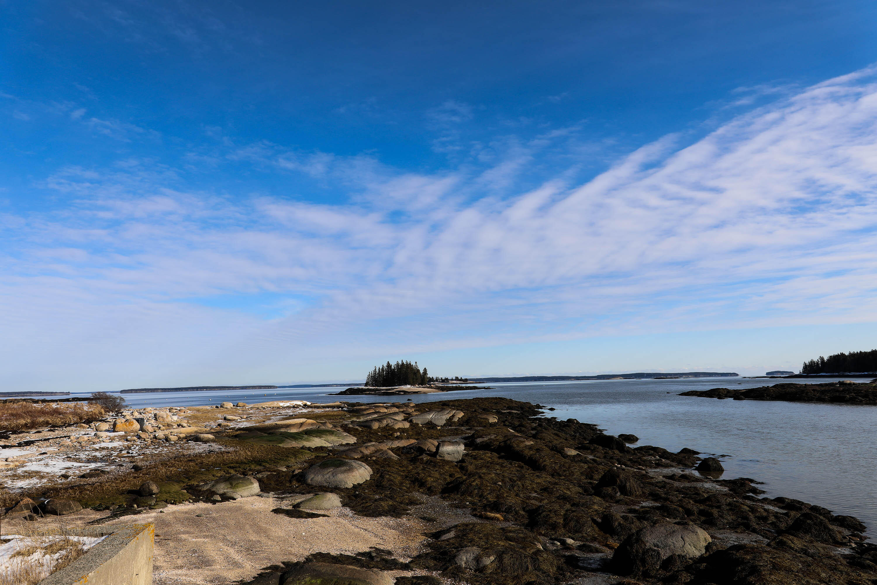 84 Conary Cove Road Deer Isle, ME 04627 - Photo 21 of 21 20230201-184A0001