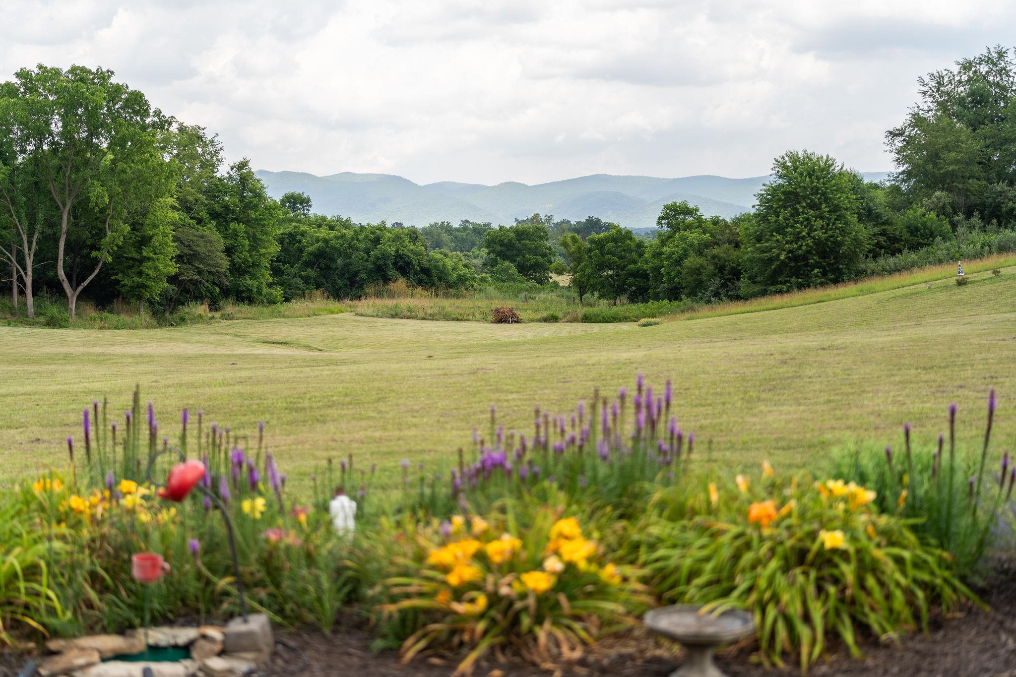 1373 Rockfish Road Waynesboro, VA 22980 - Photo 61 of 75 a view of a lake with a mountain in the background