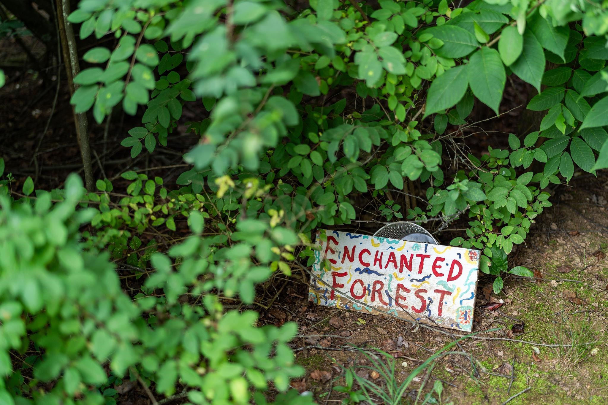 1373 Rockfish Road Waynesboro, VA 22980 - Photo 68 of 75 a sign that is sitting in a garden