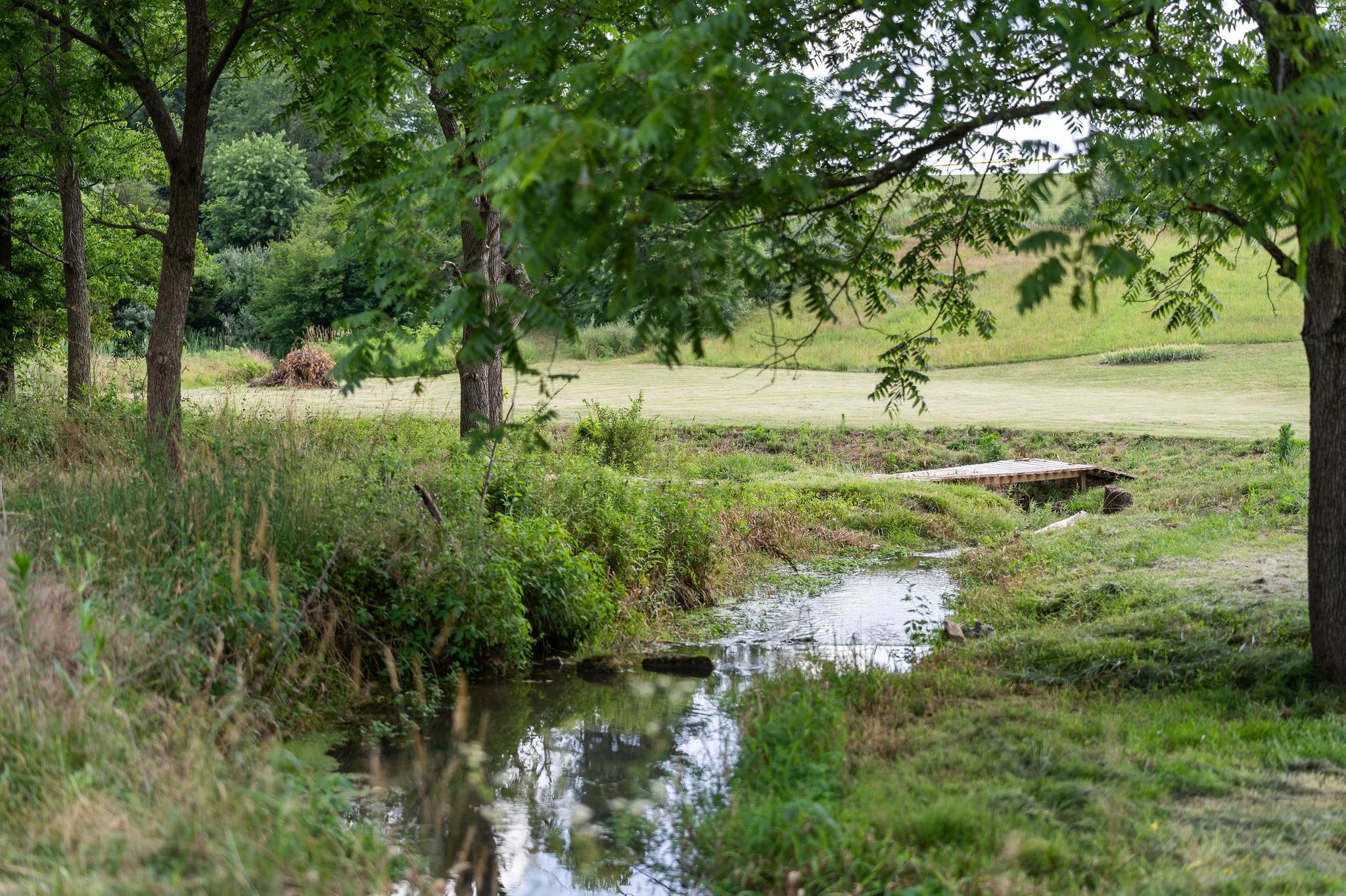 1373 Rockfish Road Waynesboro, VA 22980 - Photo 74 of 75 a view of a lake with a tree