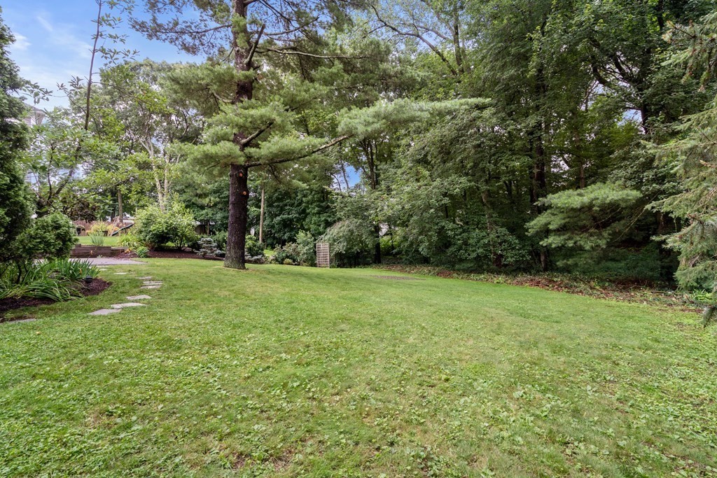 77 Ardmore Road Needham, MA 02494 - Photo 21 of 22