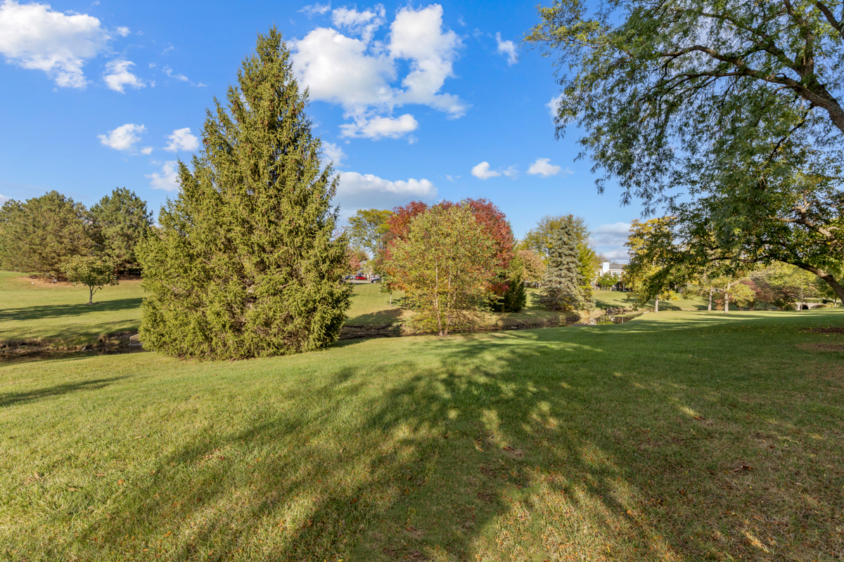 148 White Branch Court Buffalo Grove, IL 60089 - Photo 19 of 25 a view of yard with green space