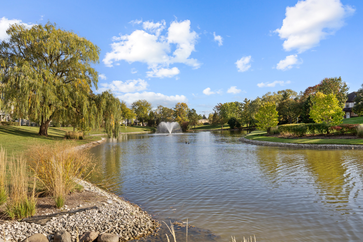 148 White Branch Court Buffalo Grove, IL 60089 - Photo 21 of 25 a view of a lake