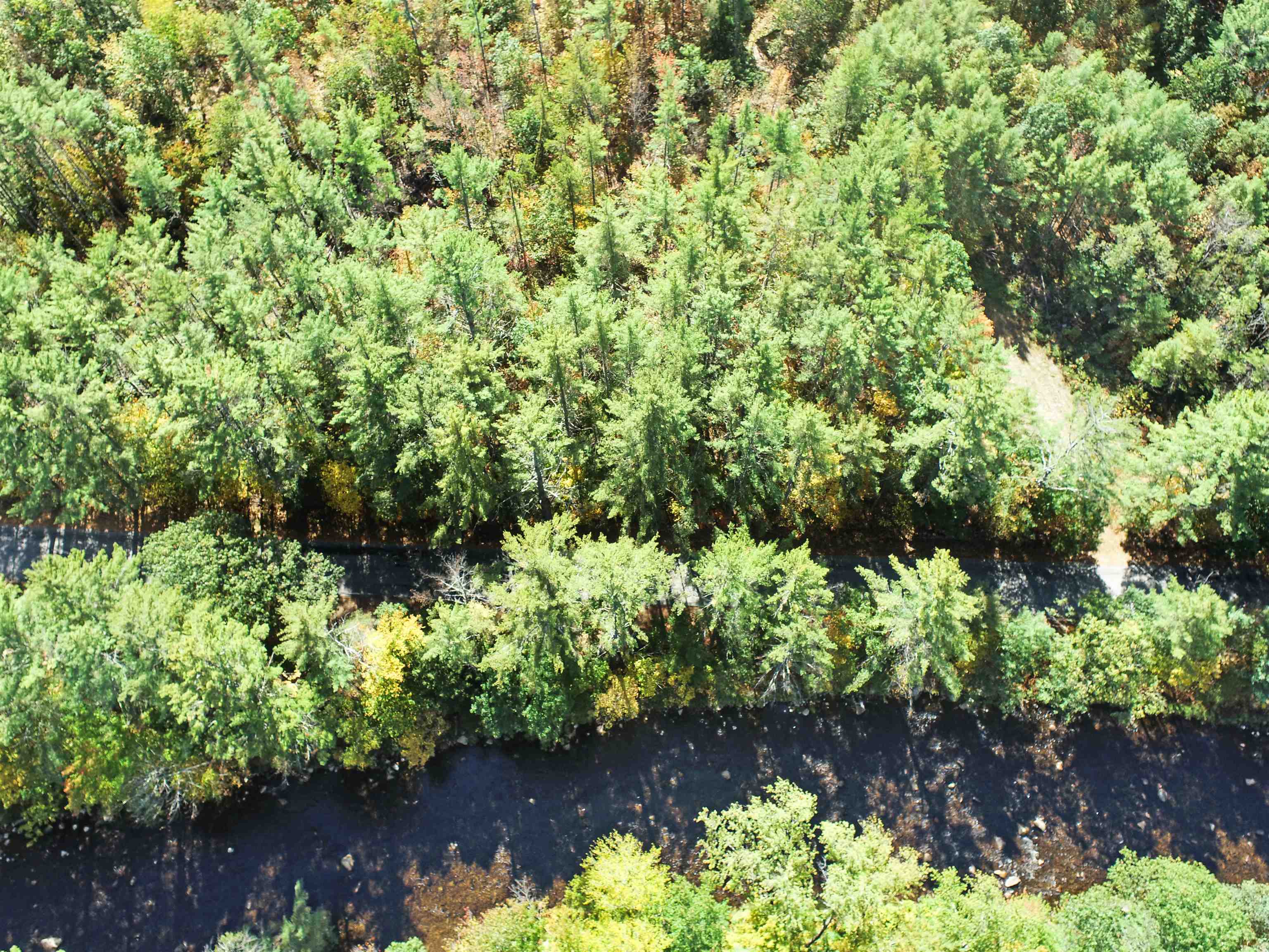 Lot 5 Whittier Road Tamworth, NH 03886 - Photo 14 of 15