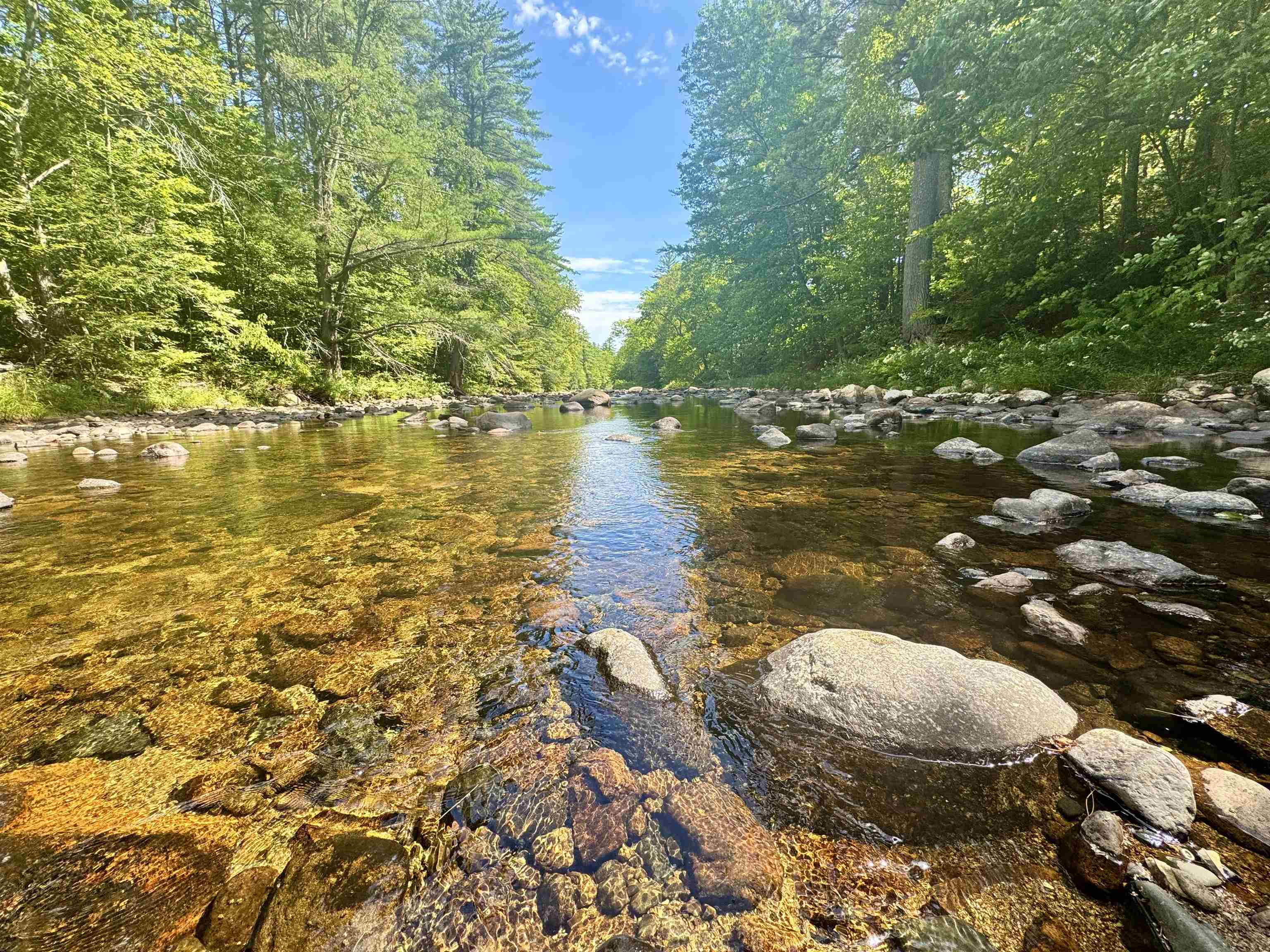 Lot 5 Whittier Road Tamworth, NH 03886 - Photo 6 of 15