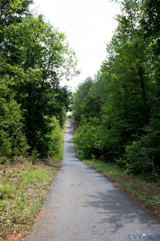 1487 Spencer Road Dillwyn, VA 23936 - Photo 34 of 40 Long private driveway