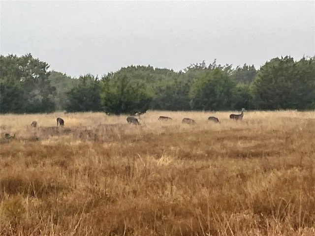 $690,000 | 312 County Road 312, McGregor, TX 76657