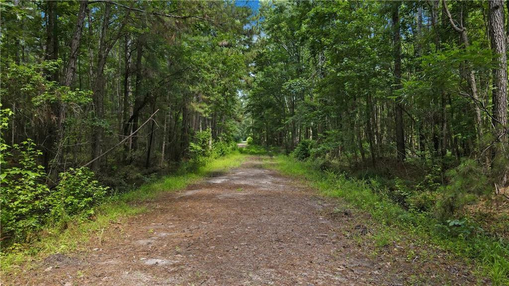 Lot 30 Freedom Trail Southwest, Unit 30 Townsend, GA 31331 - Photo 1 of 6
