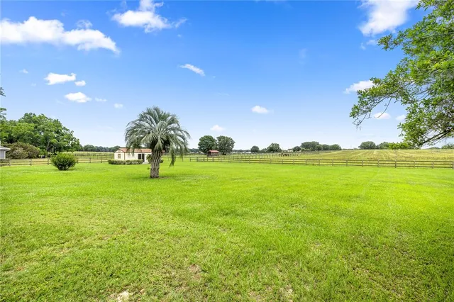a view of a green field