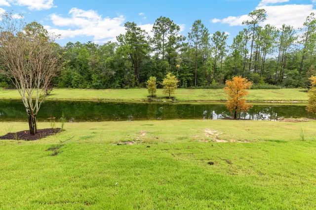 a view of a fountain in a yard with palm trees