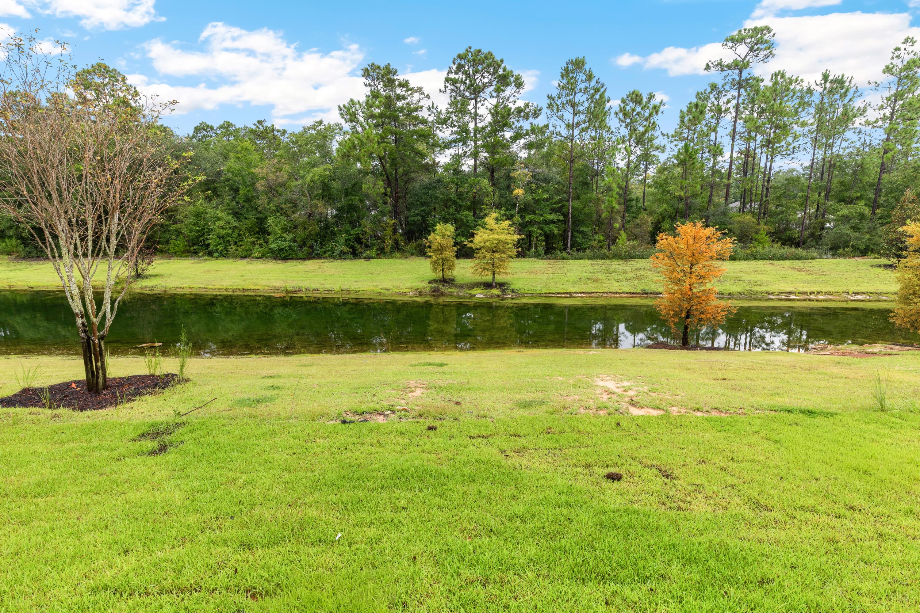 80 Clarke Hl Road Freeport, FL 32439 - Photo 19 of 33 a view of a fountain in a yard with palm trees