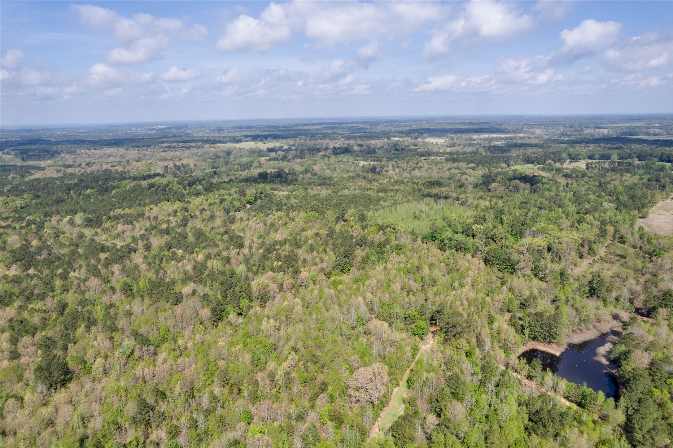 0 Jones Loop Gilmer, TX 75644 - Photo 2 of 6