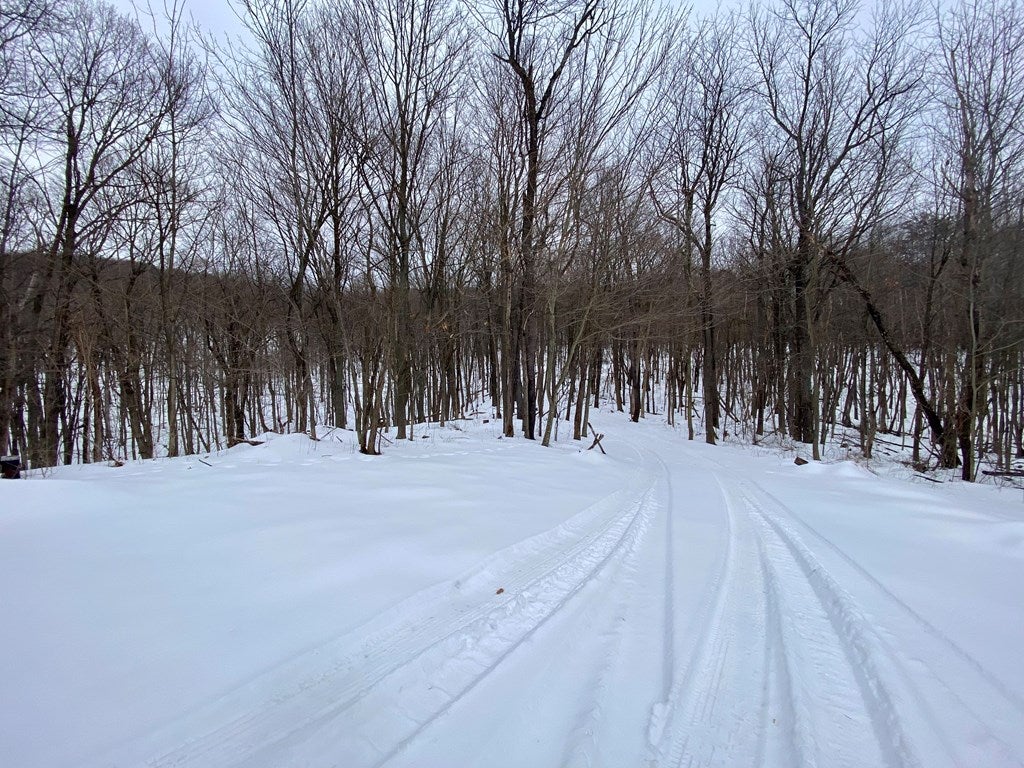 17654 Upper Ridge Road James Creek, PA 16657 - Photo 22 of 31 Drive way to cabin from Upper Ridge Road