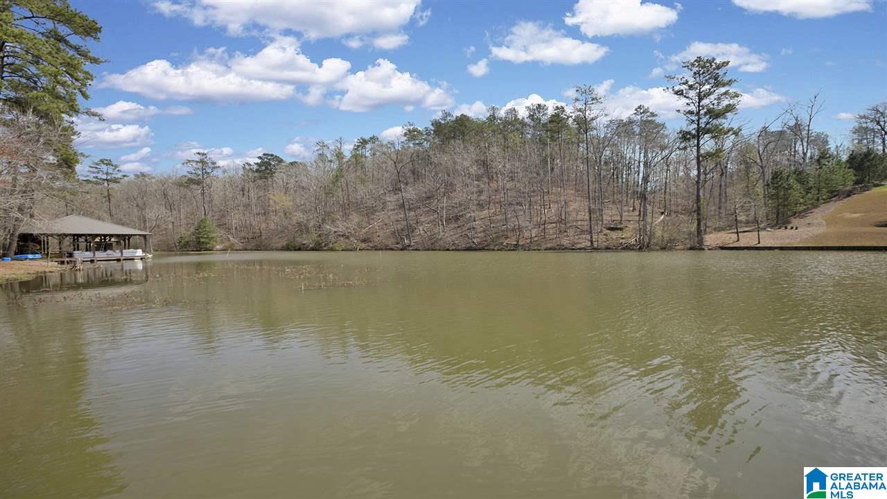 256 Big Y Cv Loop Rockford, AL 35136 - Photo 45 of 50