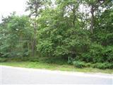 0 Wilann Lots 9 & 10 Road Mashpee, MA 02649 - Photo 1 of 1 Primary Photo