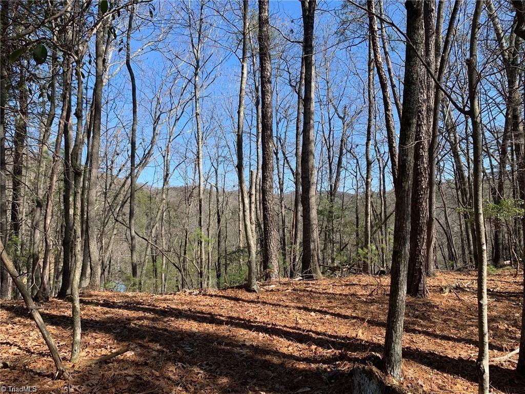 Lot 2 Sutter's Ridge Road McGrady, NC 28649 - Photo 6 of 14 Gallery Image 6