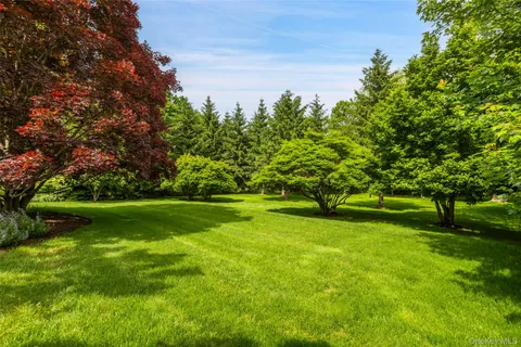 a view of field with tall trees