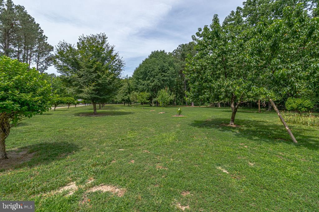 47 Edgewater Drive Heathsville, VA 22473 - Photo 79 of 94