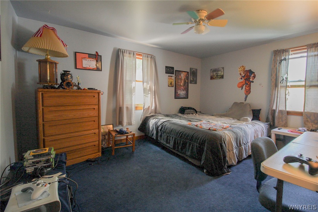 10246 Mill Road Ridgeway, NY 14103 - Photo 22 of 47