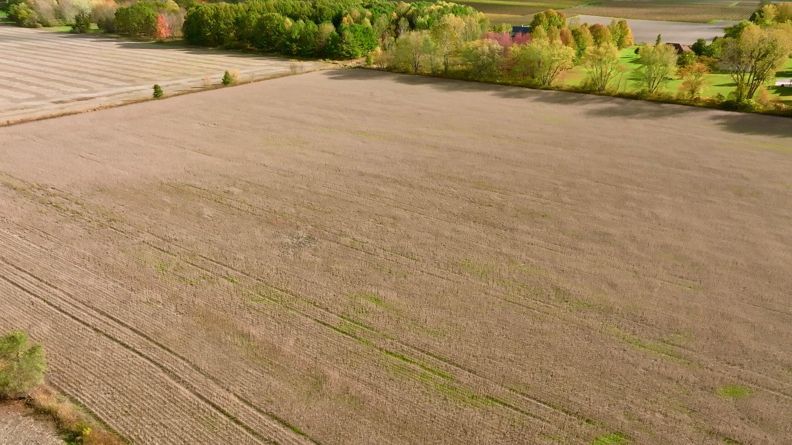 4711 Scottdale Road St. Joseph, MI 49085 - Photo 8 of 25 Still 2025-10-25 115136_1.5.1