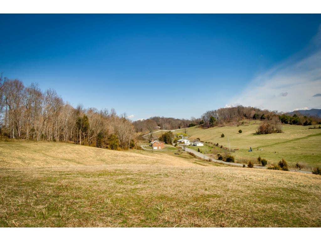 727 Mayberry Road Jonesborough, TN 37659 - Photo 11 of 36 Photo 11