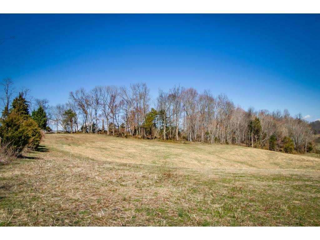 727 Mayberry Road Jonesborough, TN 37659 - Photo 12 of 36 Photo 12