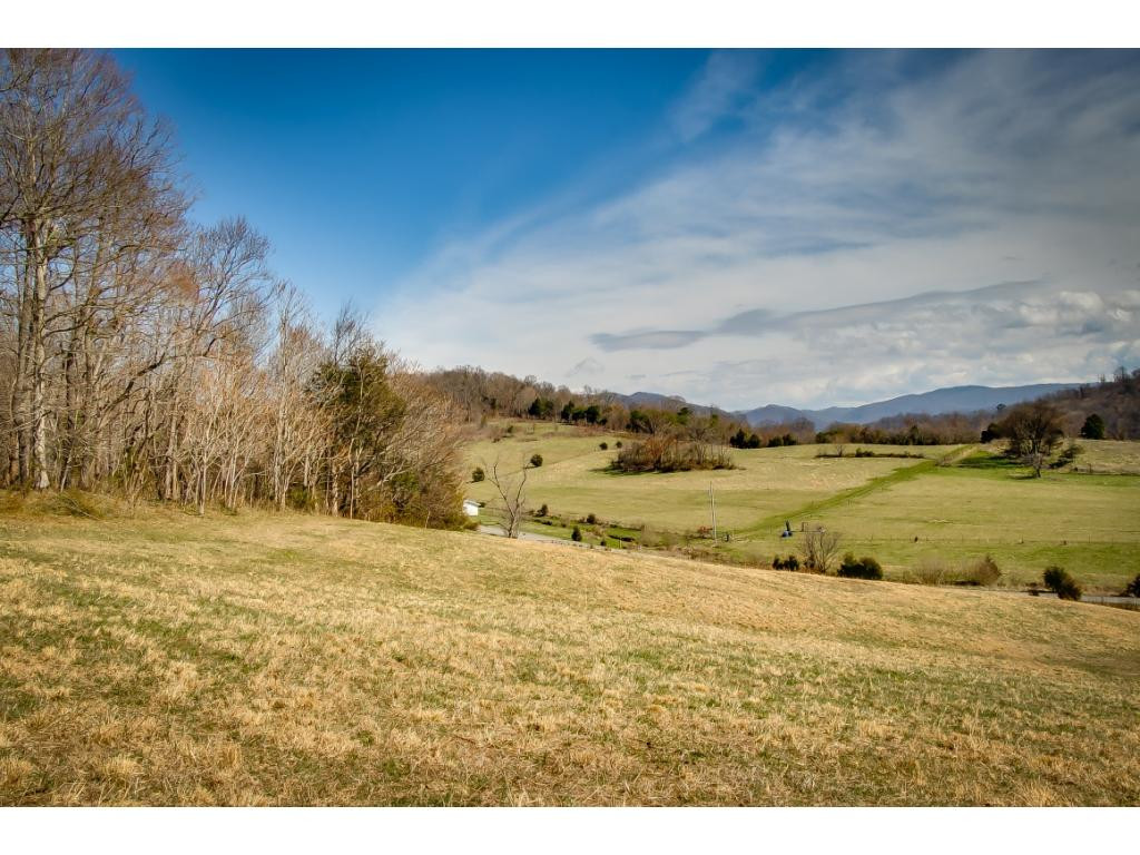 727 Mayberry Road Jonesborough, TN 37659 - Photo 13 of 36 Photo 13