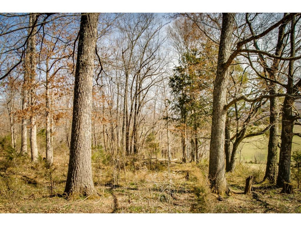 727 Mayberry Road Jonesborough, TN 37659 - Photo 15 of 36 Photo 15