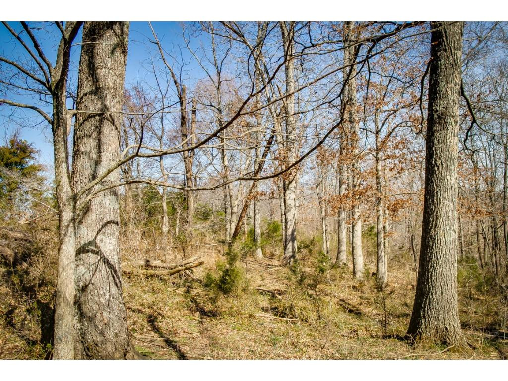 727 Mayberry Road Jonesborough, TN 37659 - Photo 16 of 36 Photo 16
