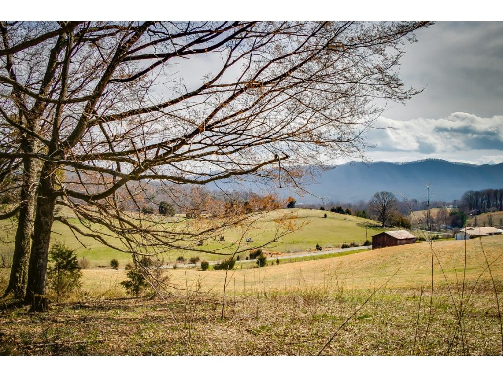 727 Mayberry Road Jonesborough, TN 37659 - Photo 17 of 36 Photo 17