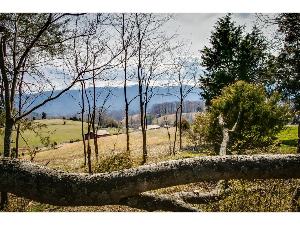 727 Mayberry Road Jonesborough, TN 37659 - Photo 19 of 36 Photo 19