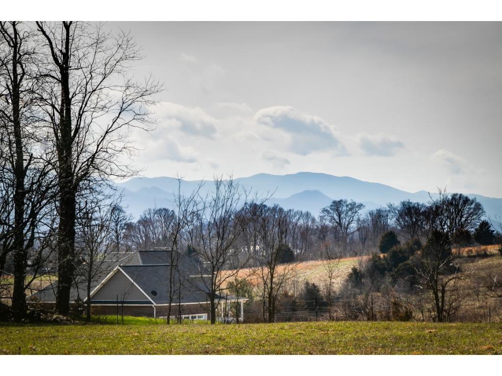 727 Mayberry Road Jonesborough, TN 37659 - Photo 20 of 36 Photo 20