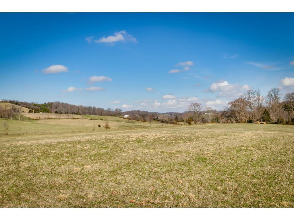727 Mayberry Road Jonesborough, TN 37659 - Photo 24 of 36 Photo 24