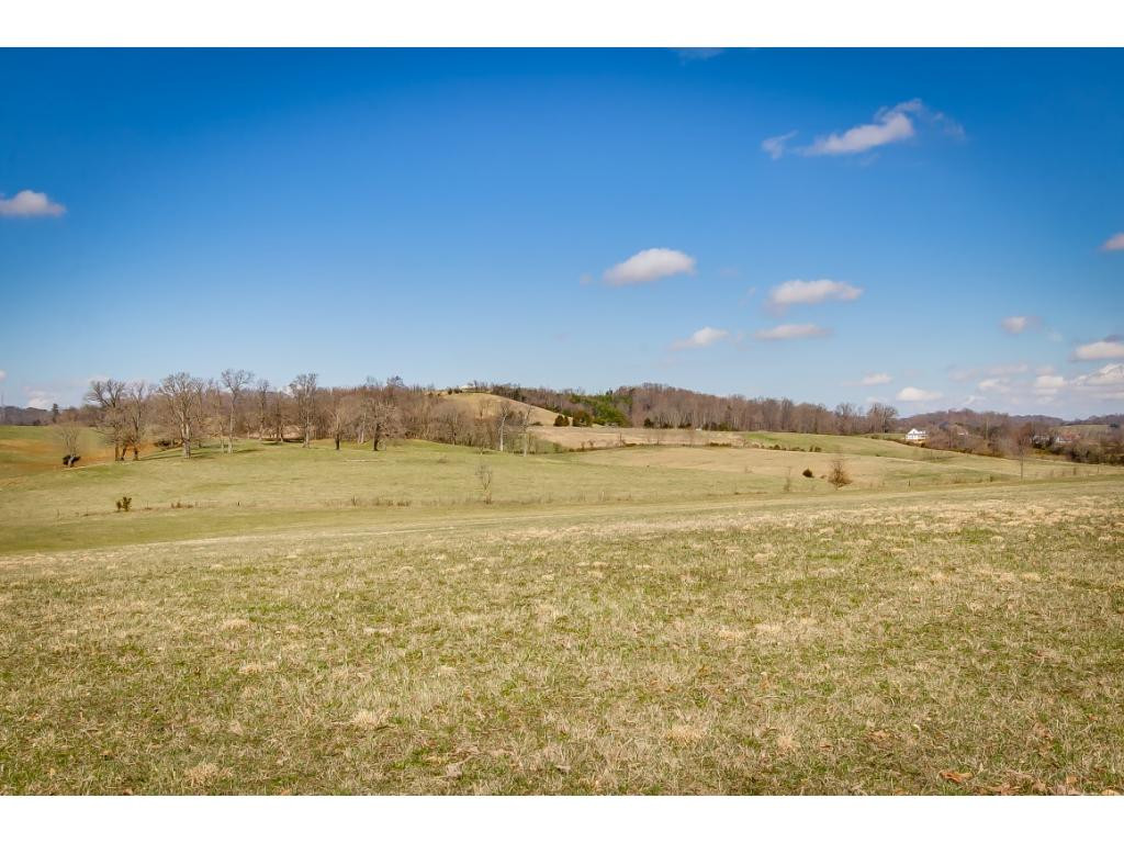 727 Mayberry Road Jonesborough, TN 37659 - Photo 25 of 36 Photo 25
