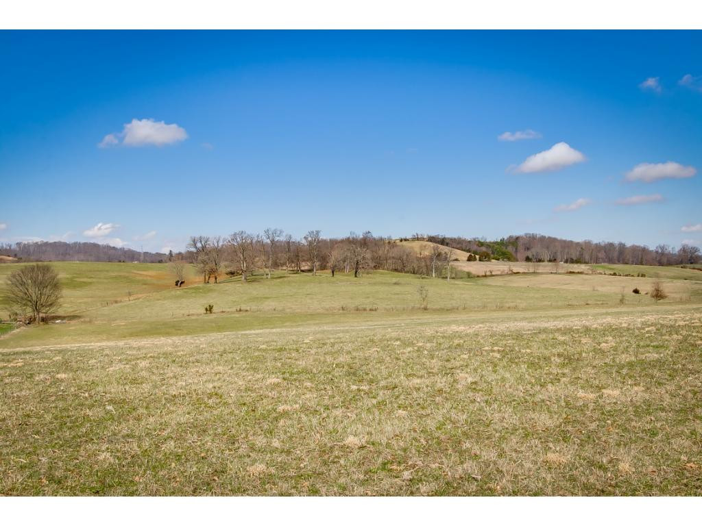 727 Mayberry Road Jonesborough, TN 37659 - Photo 26 of 36 Photo 26